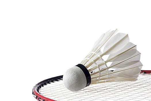 无坚不摧的 无坚不摧的