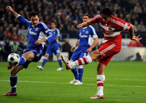 完成草坪养 完成草坪养